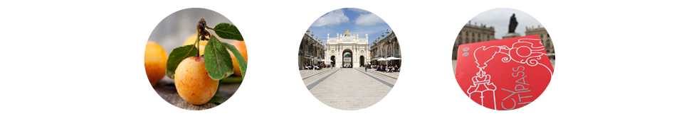 Image_decouvrez_nancy_4.png Image_decouvrez_nancy_4.png
